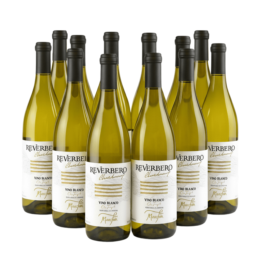 Reverbero Chardonnay 2023 – Paquete de 12 Botellas - Doluvia