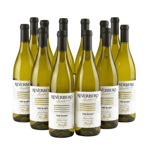 Reverbero Chardonnay 2023 – Paquete de 12 Botellas - Doluvia