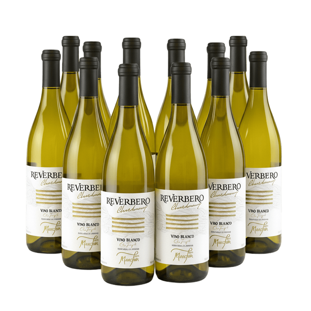 Reverbero Chardonnay 2023 – Paquete de 12 Botellas - Doluvia