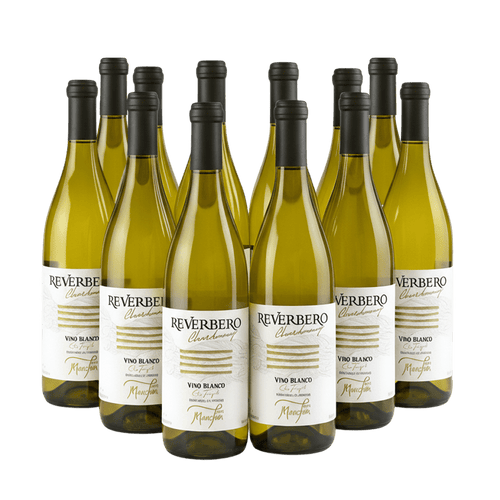 Reverbero Chardonnay 2023 – Paquete de 12 Botellas - Doluvia