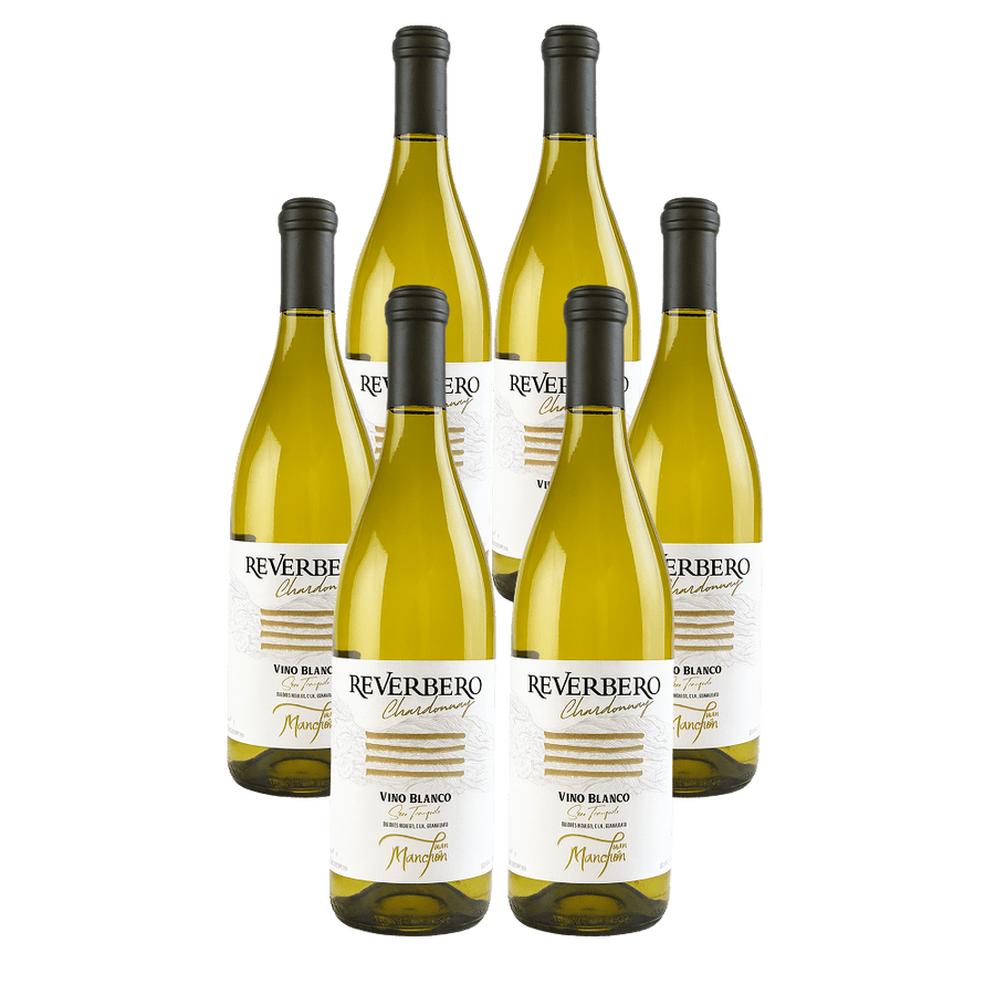 Reverbero Chardonnay 2023 – Paquete de 6 Botellas - Doluvia