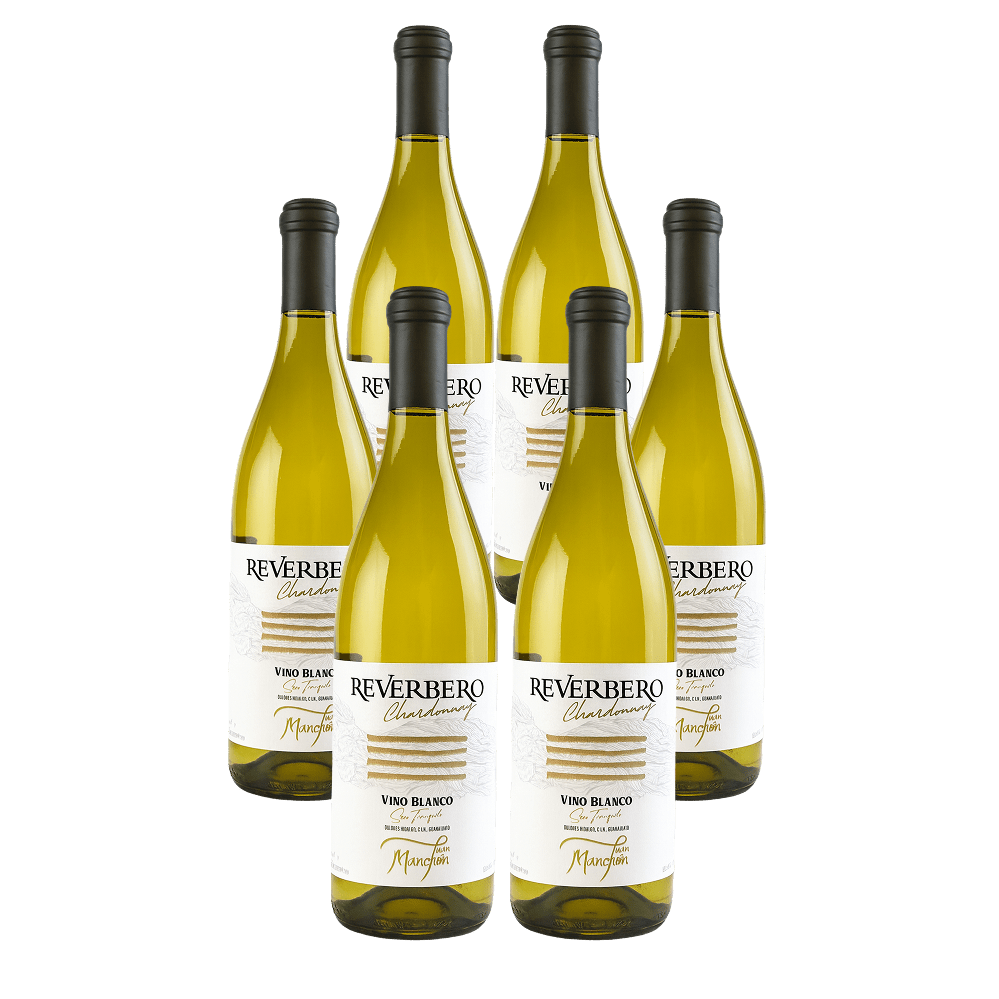 Reverbero Chardonnay 2023 – Paquete de 6 Botellas - Doluvia