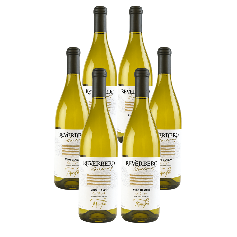 Reverbero Chardonnay 2023 – Paquete de 6 Botellas - Doluvia
