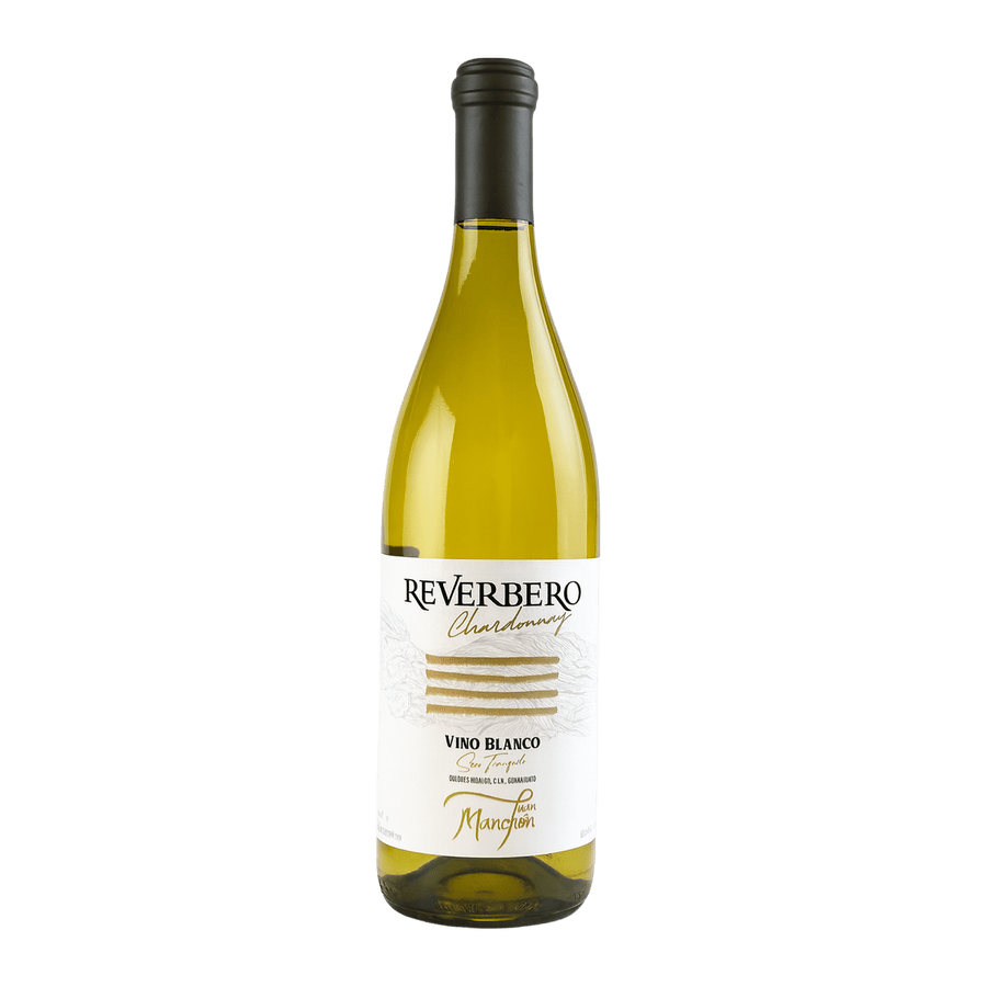 Reverbero Chardonnay 2023 sin fondo