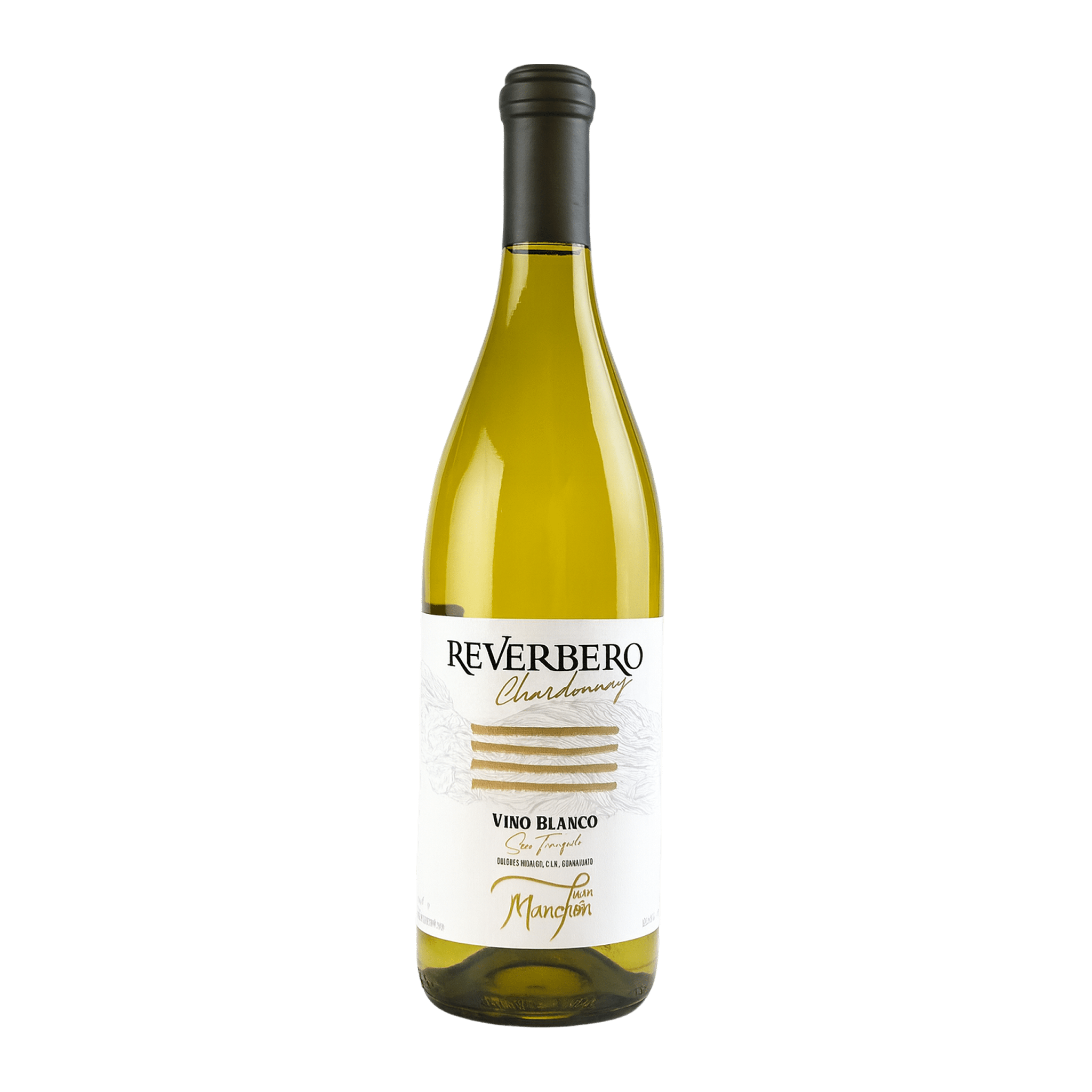 Reverbero Chardonnay 2023 sin fondo