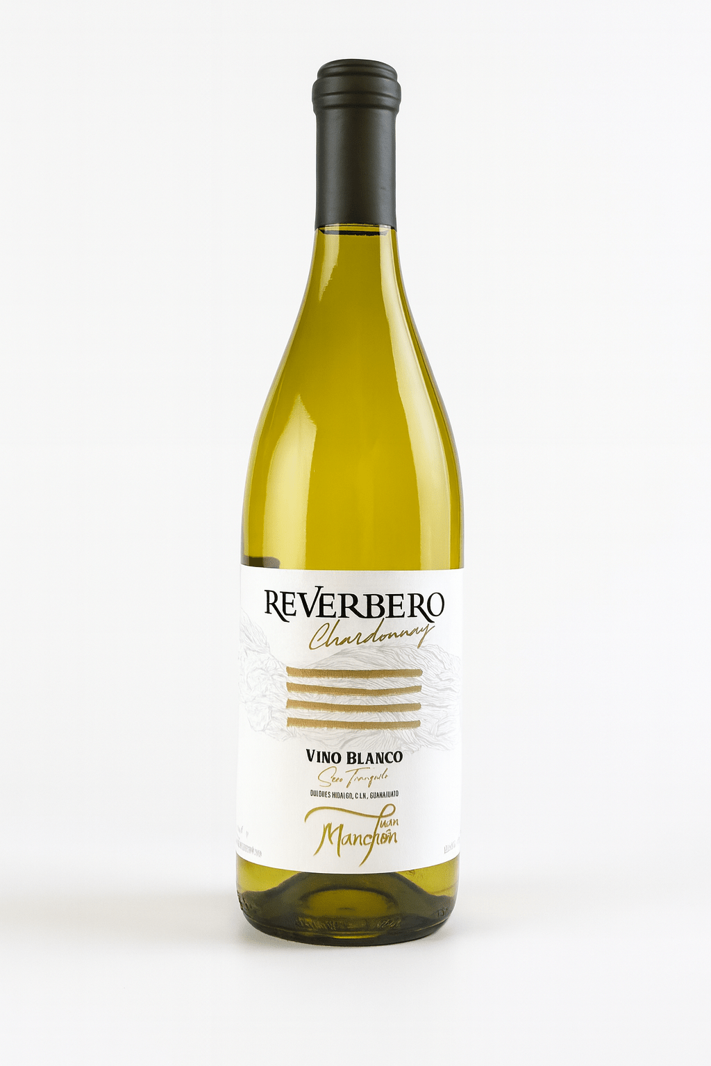 Reverbero Chardonnay 2023 sobre fondo blanco